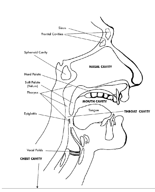 vocal exercises for deeper voice